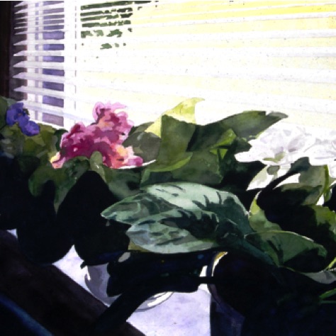 African Violets Above the Sink
22x30